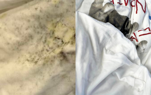 Top mẹo vặt gia đình hay không phải ai cũng nói cho bạn biết