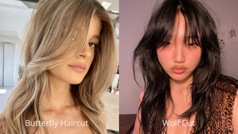Phân biệt wolf cut và butterfly cut. Gợi ý cho nàng những dáng butterfly cut trendy 2024