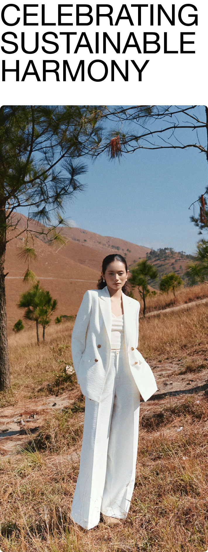 Sol Terra - Collection 2024