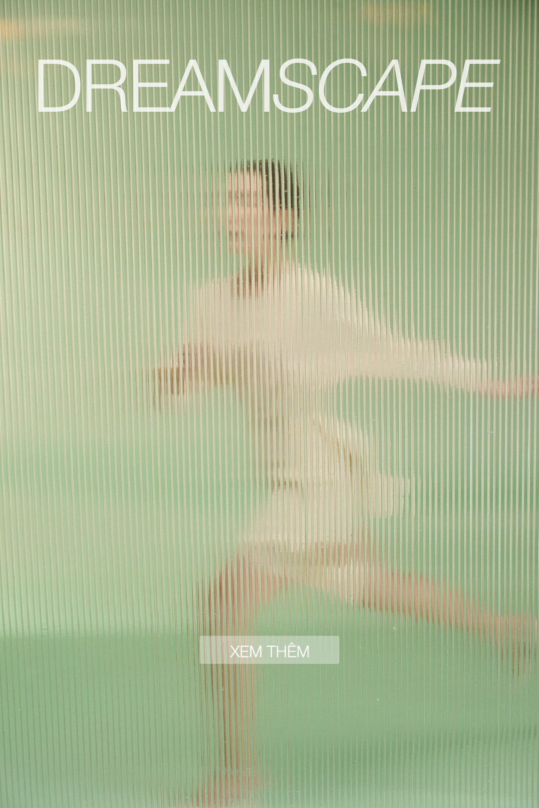 Dreamscape - New collection 2025