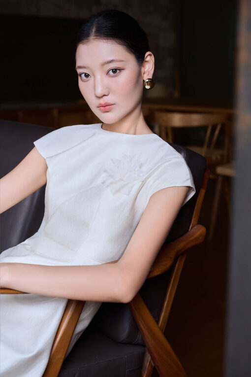 Đầm xòe tay liền thân cài hoa ngực