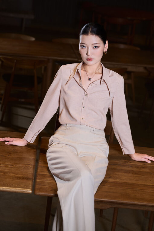 Sơ mi DT lá cổ nhọn dài nẹp bong