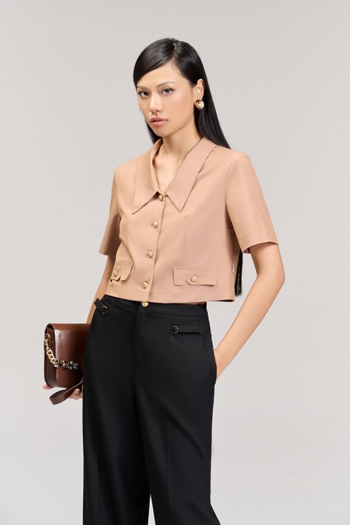 Áo kiểu CT croptop cổ bẻ V