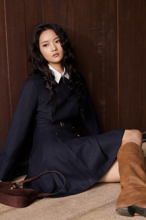 Đầm A cổ tròn tùng xếp ly đính cúc TT