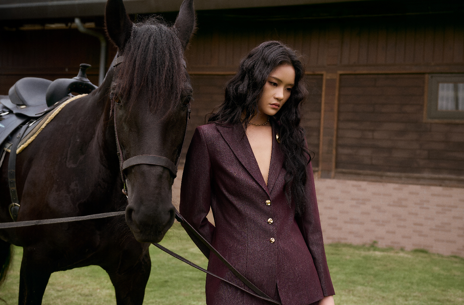 The Warm Shelter - AW 2025